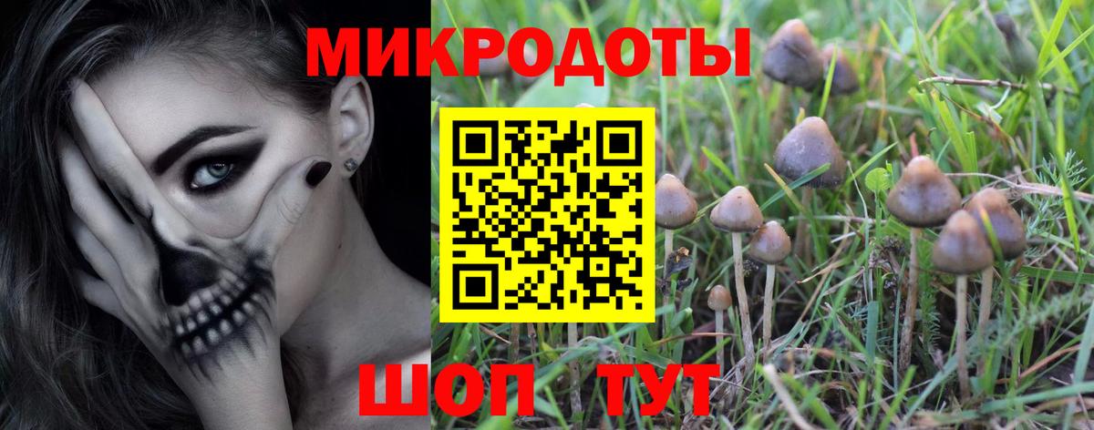 Галлюциногенные грибы мицелий  купить  сайты  Соликамск  Псилоцибиновые грибы GOLDEN TEACHER  Вход с VPN 