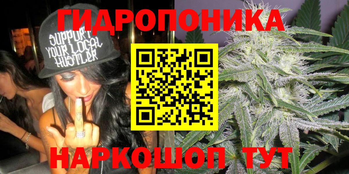 Бошки Шишки планчик Соликамск